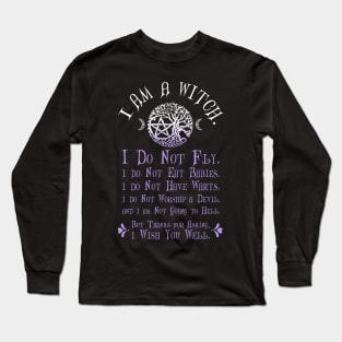 Wiccan Pagan Witch T-Shirt I am a Witch Misconceptions Tee Long Sleeve T-Shirt